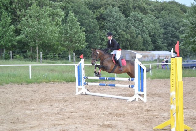 reitertag 2013 87